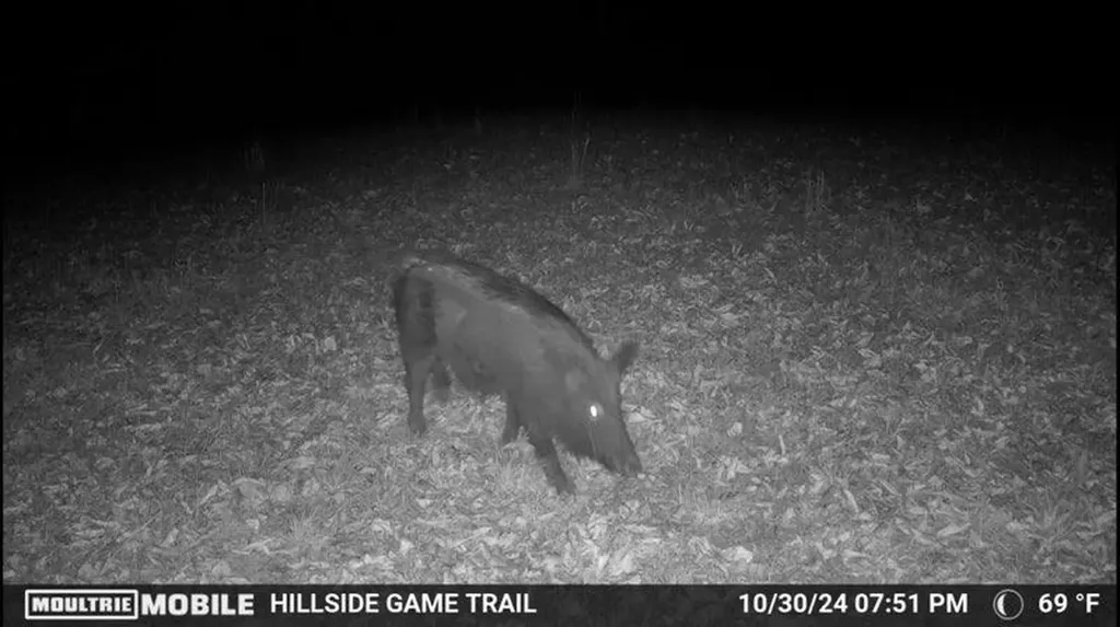 1005 Birdwell Road Whitleyville TN 38588