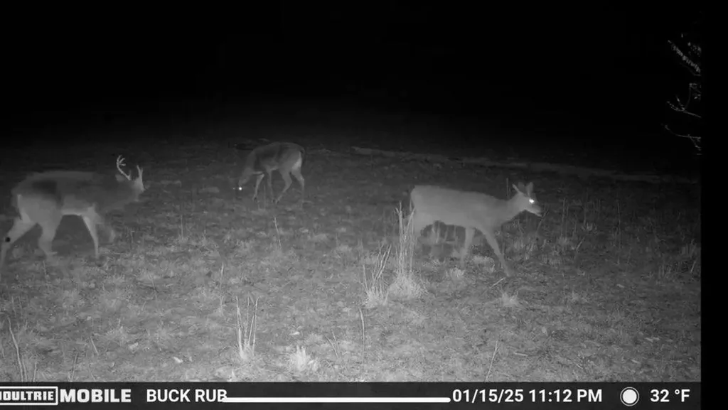 1005 Birdwell Road Whitleyville TN 38588