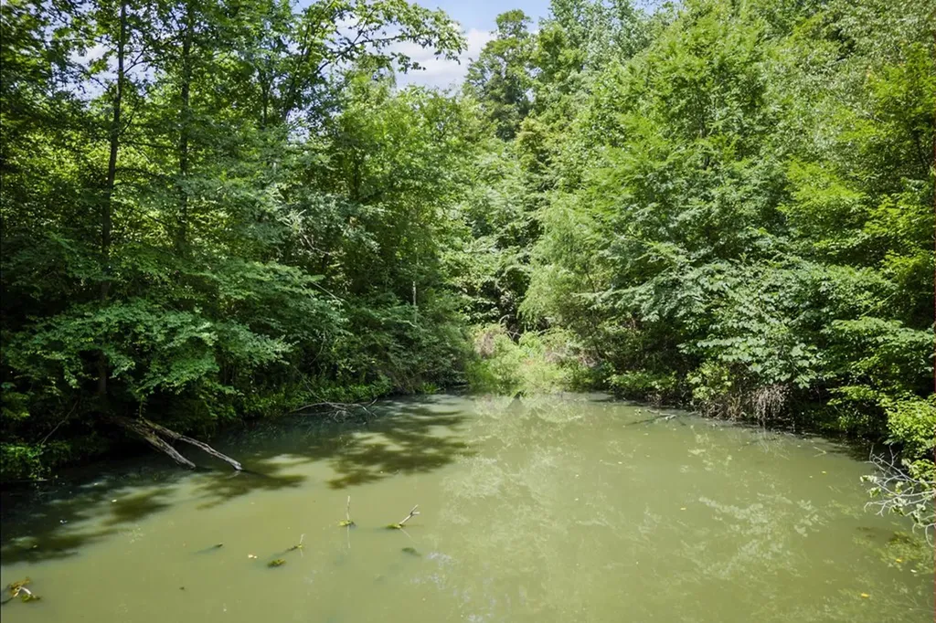 1005 Birdwell Road Whitleyville TN 38588