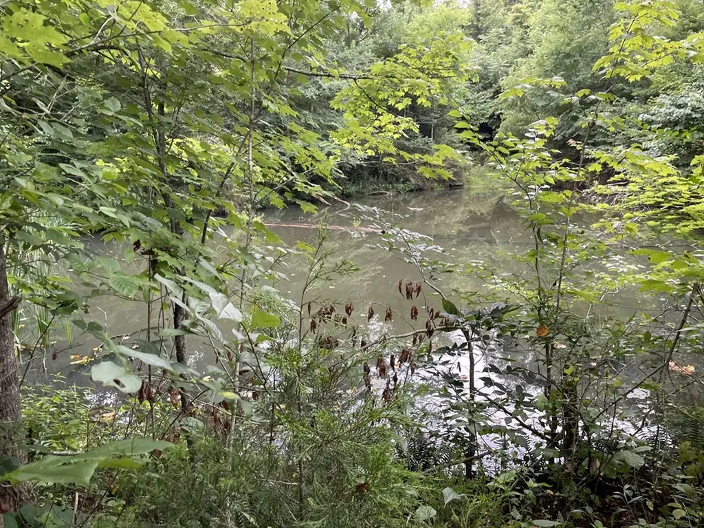 1005 Birdwell Road Whitleyville TN 38588