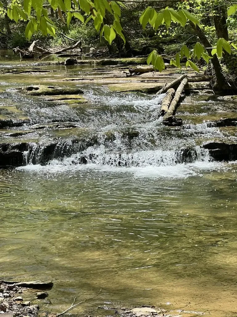 434 Monroe Branch Lane Monroe TN 38573