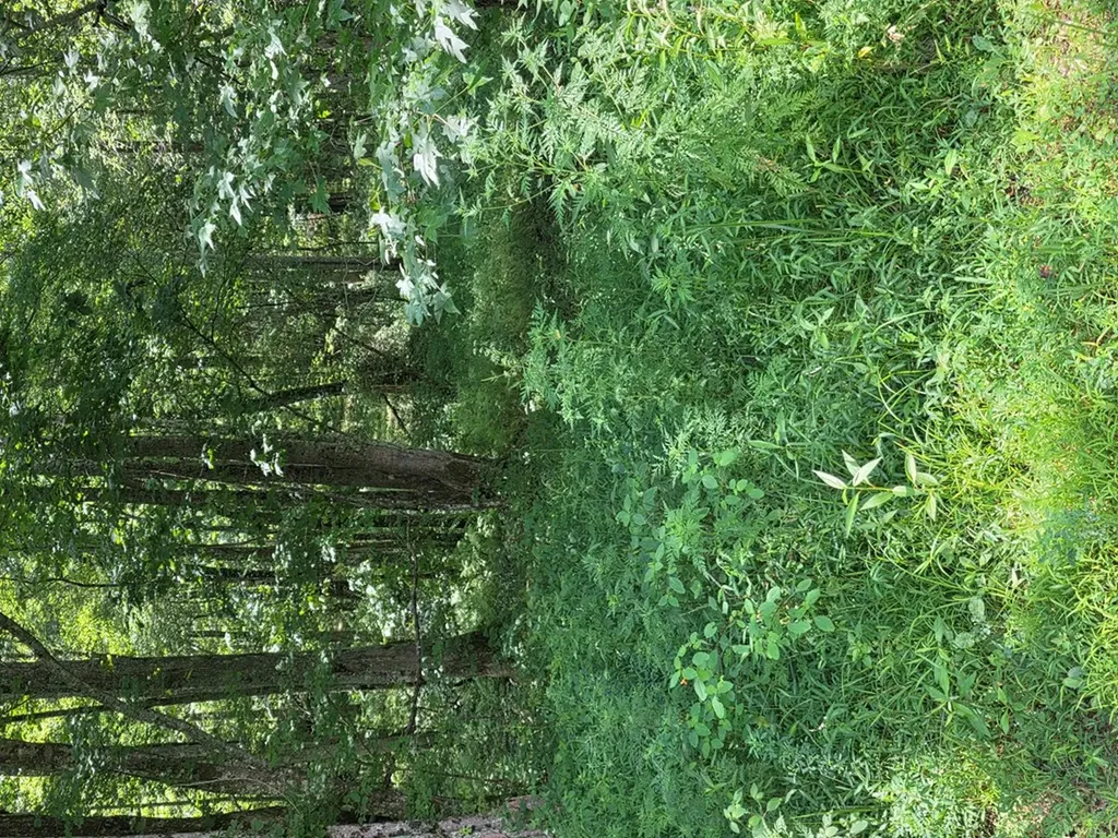 2783 Glade Creek Road Sparta TN 38583