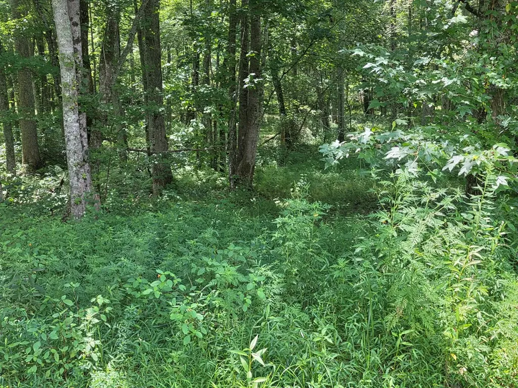 2783 Glade Creek Road Sparta TN 38583