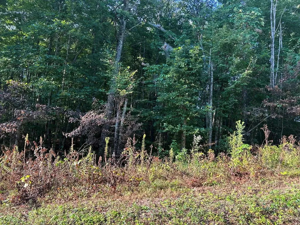 N/a Panther Branch Road Jamestown TN 38556