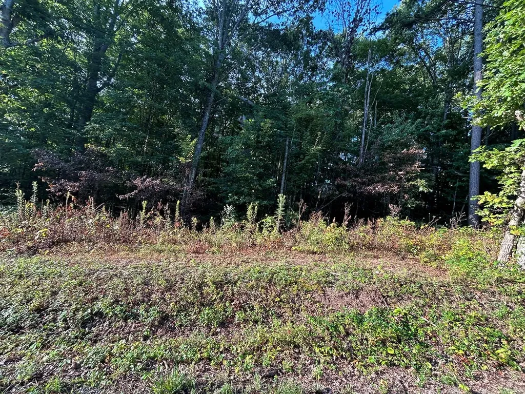 N/a Panther Branch Road Jamestown TN 38556