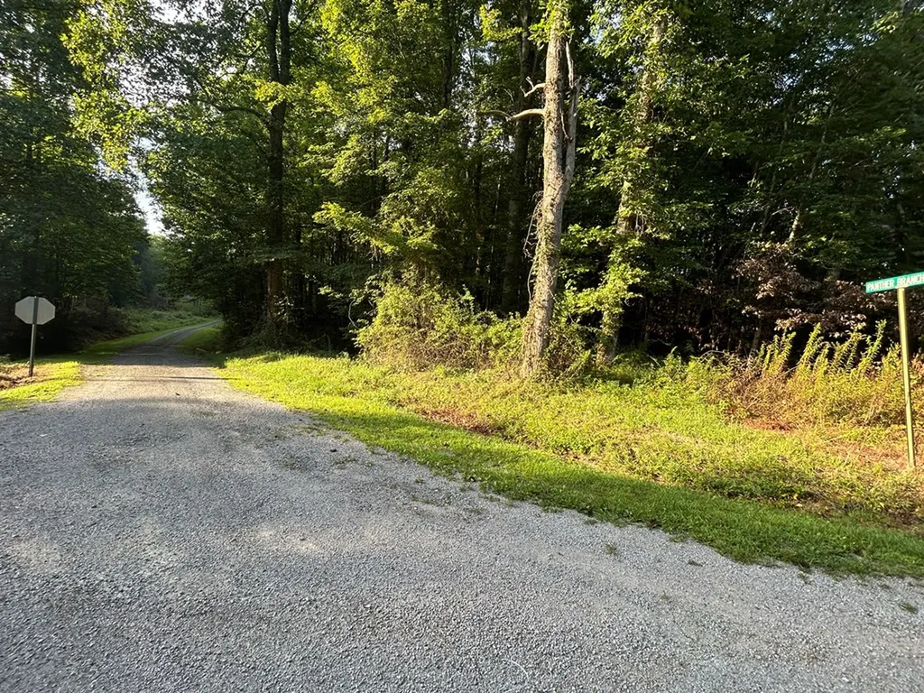 N/a Panther Branch Road Jamestown TN 38556
