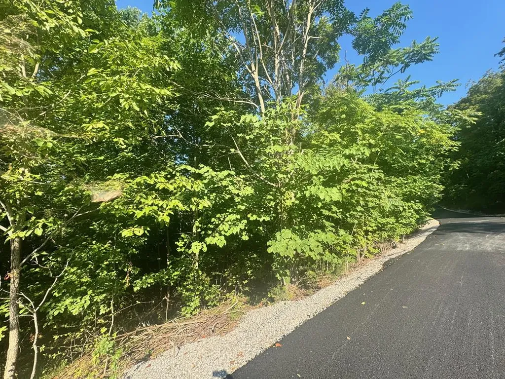 617 North Pointe Trail Allons TN 38541