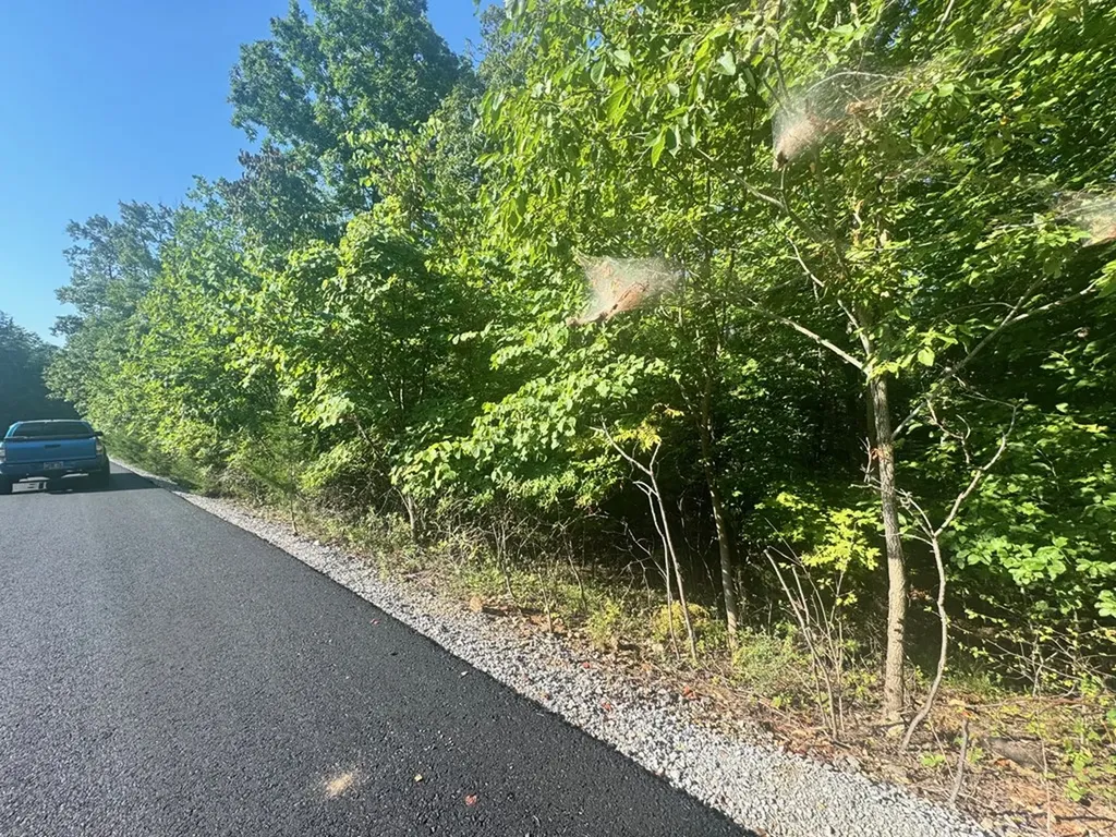 617 North Pointe Trail Allons TN 38541