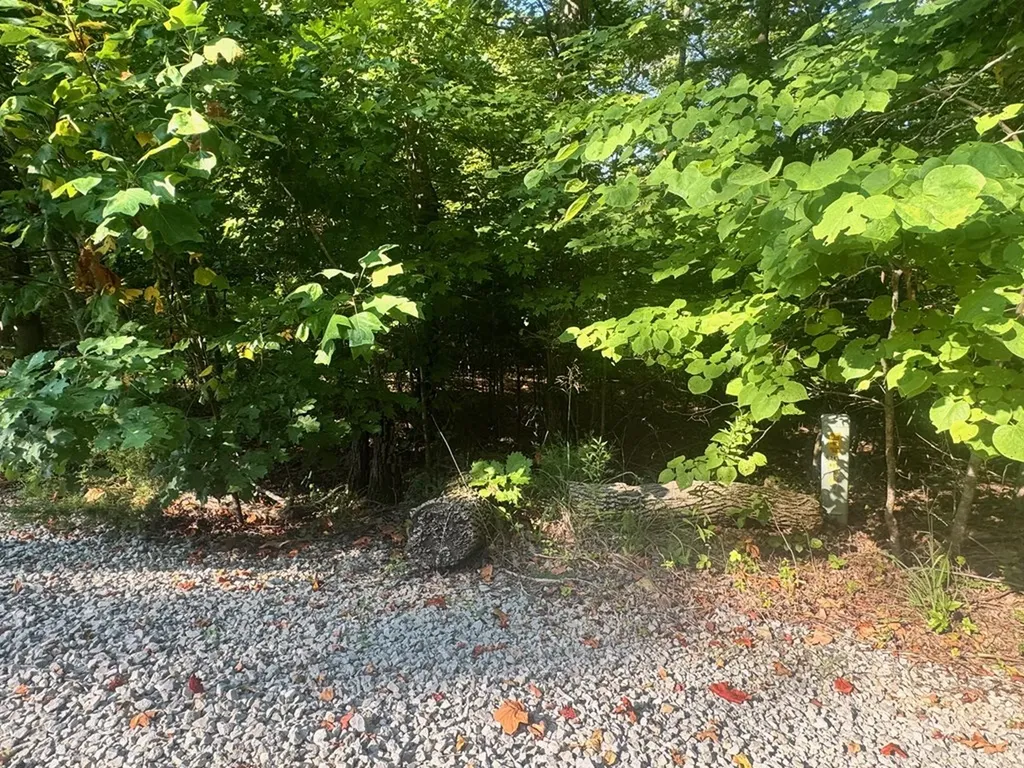 617 North Pointe Trail Allons TN 38541