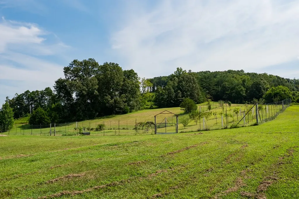 1518 Cummingsville & Sparkman Road Doyle TN 38559