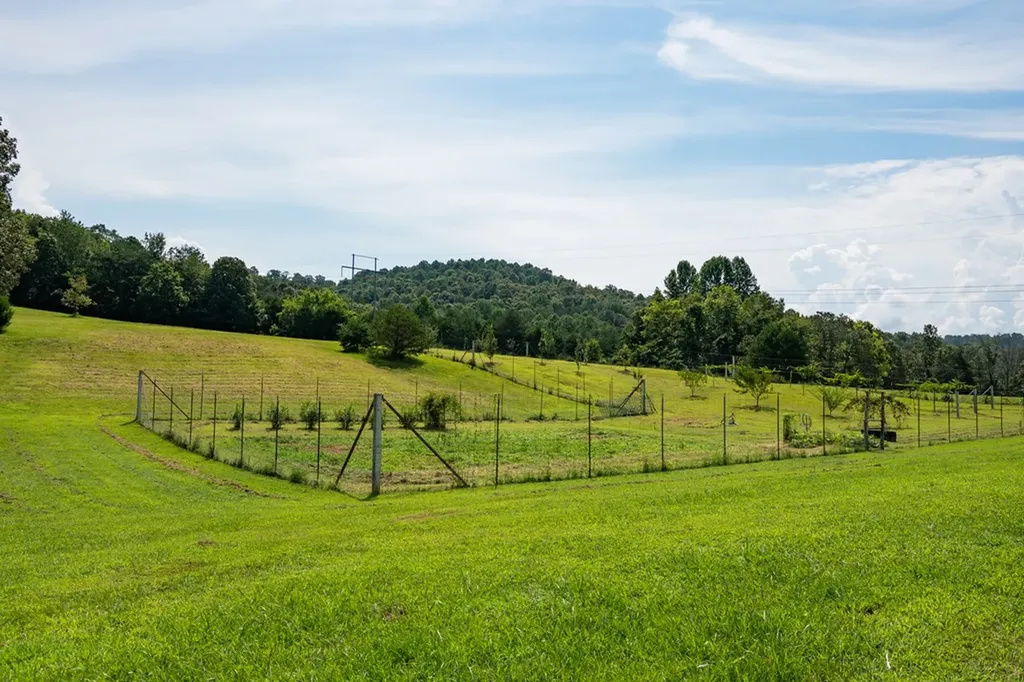 1518 Cummingsville & Sparkman Road Doyle TN 38559