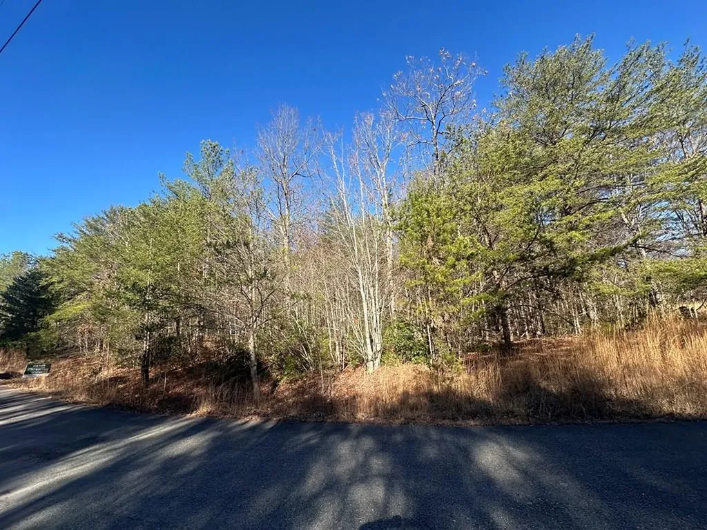 2.11 Ac Hillis Cemetery Road Spencer TN 38585