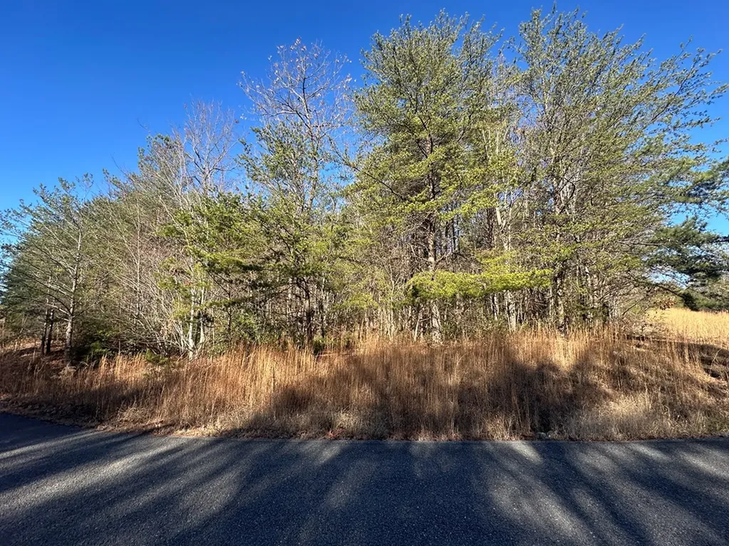 2.11 Ac Hillis Cemetery Road Spencer TN 38585