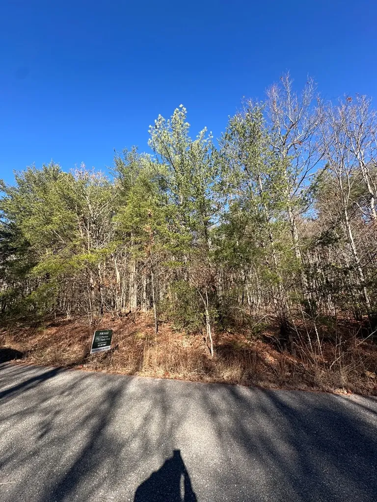 2.11 Ac Hillis Cemetery Road Spencer TN 38585