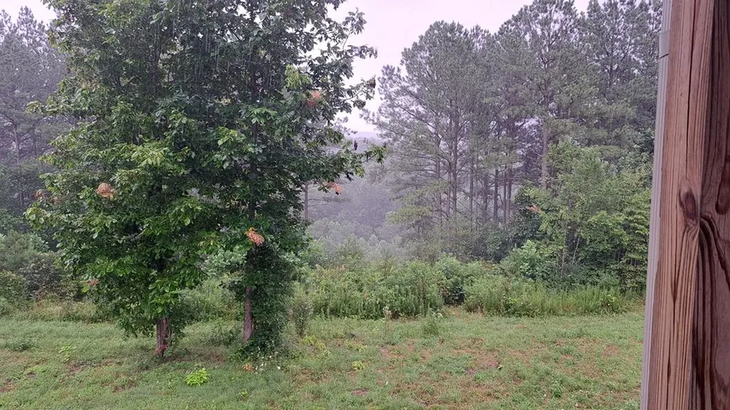 899 Flat Rock Road Crossville TN 38572