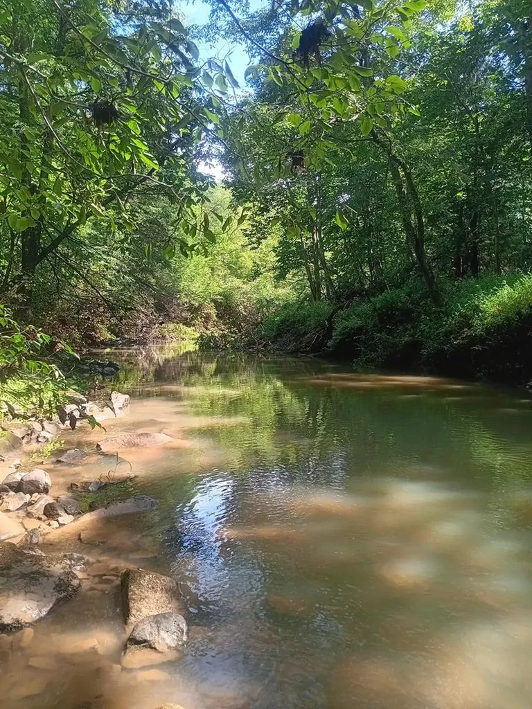 899 Flat Rock Road Crossville TN 38572