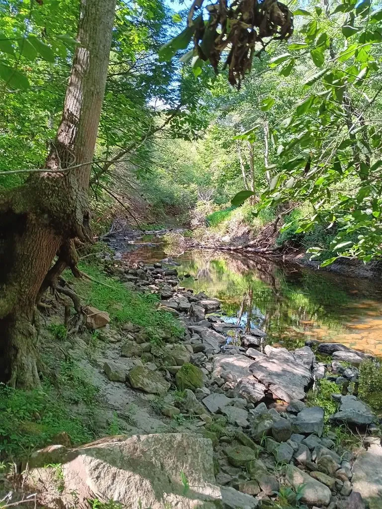 899 Flat Rock Road Crossville TN 38572