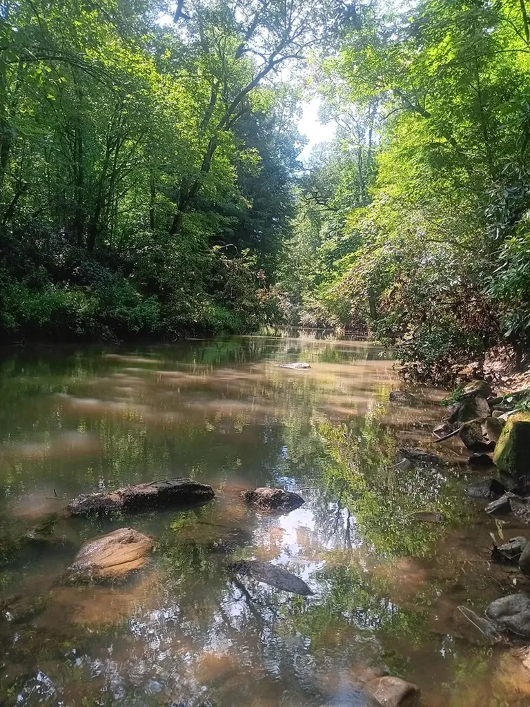 899 Flat Rock Road Crossville TN 38572