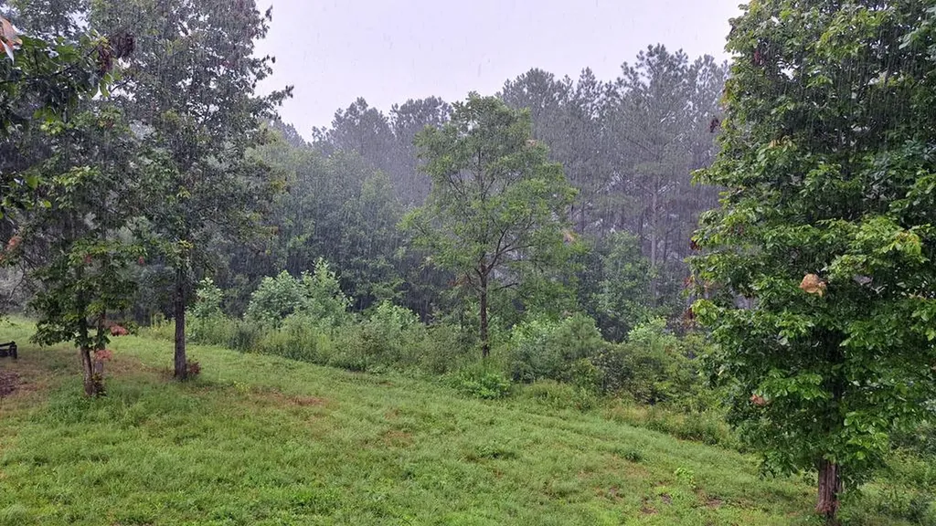 899 Flat Rock Road Crossville TN 38572