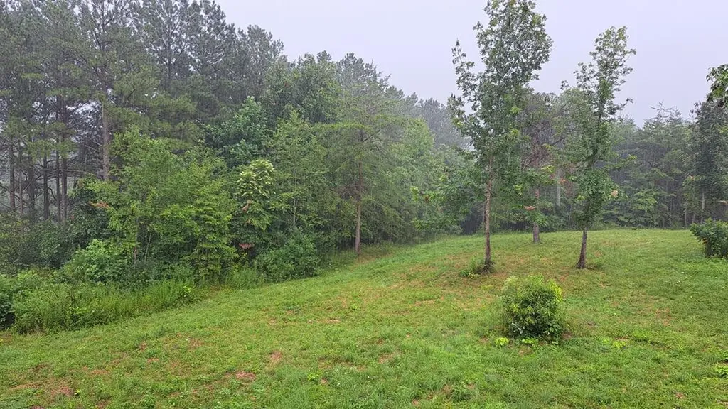 899 Flat Rock Road Crossville TN 38572