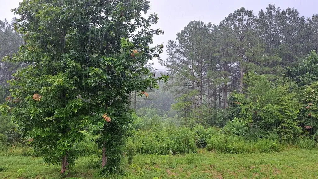 899 Flat Rock Road Crossville TN 38572