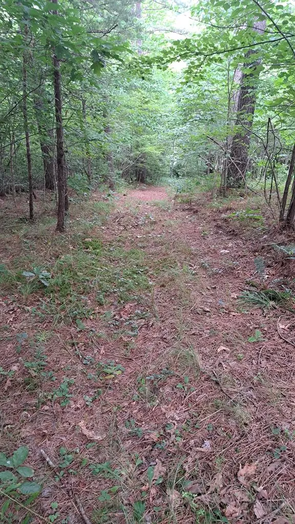 899 Flat Rock Road Crossville TN 38572