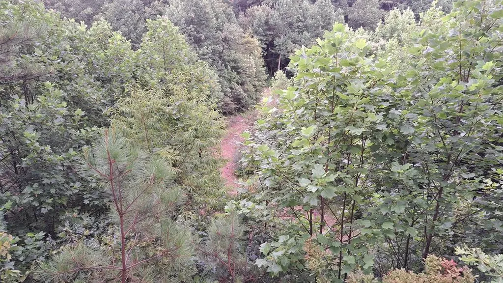 899 Flat Rock Road Crossville TN 38572