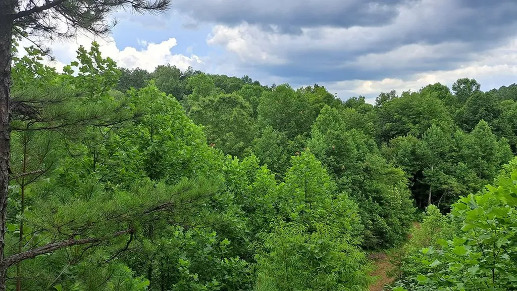 899 Flat Rock Road Crossville TN 38572