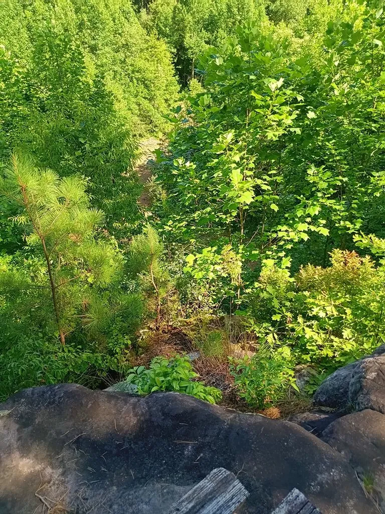 899 Flat Rock Road Crossville TN 38572