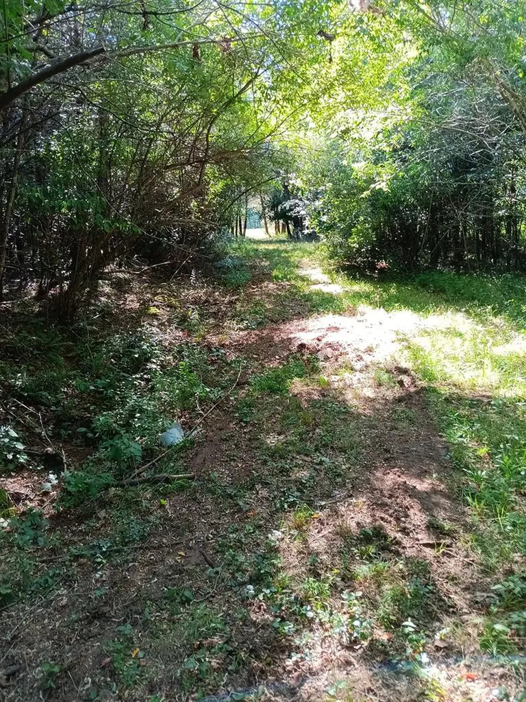 899 Flat Rock Road Crossville TN 38572