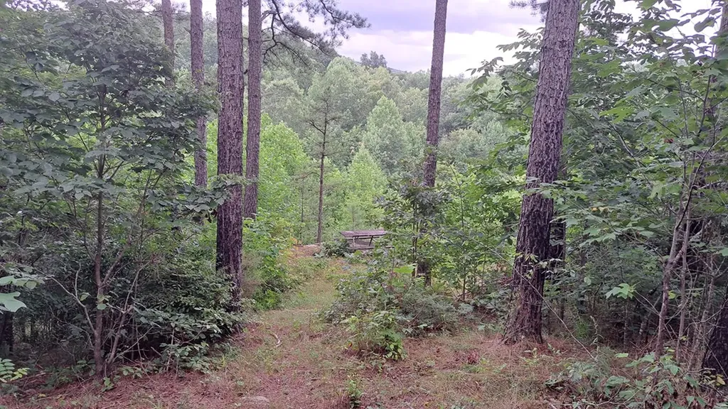 899 Flat Rock Road Crossville TN 38572