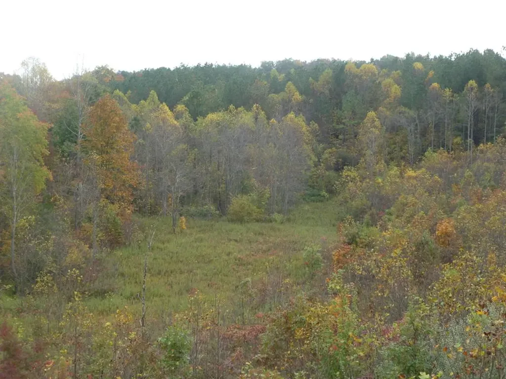 899 Flat Rock Road Crossville TN 38572