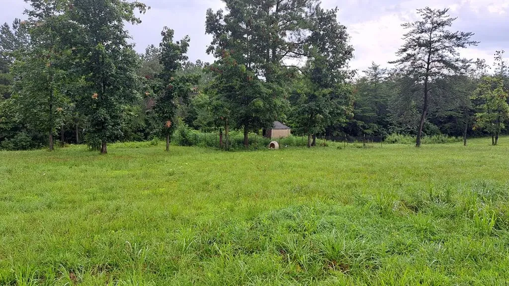 899 Flat Rock Road Crossville TN 38572