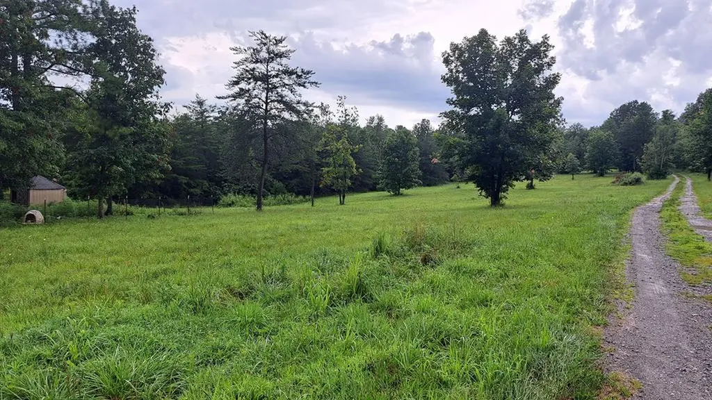 899 Flat Rock Road Crossville TN 38572