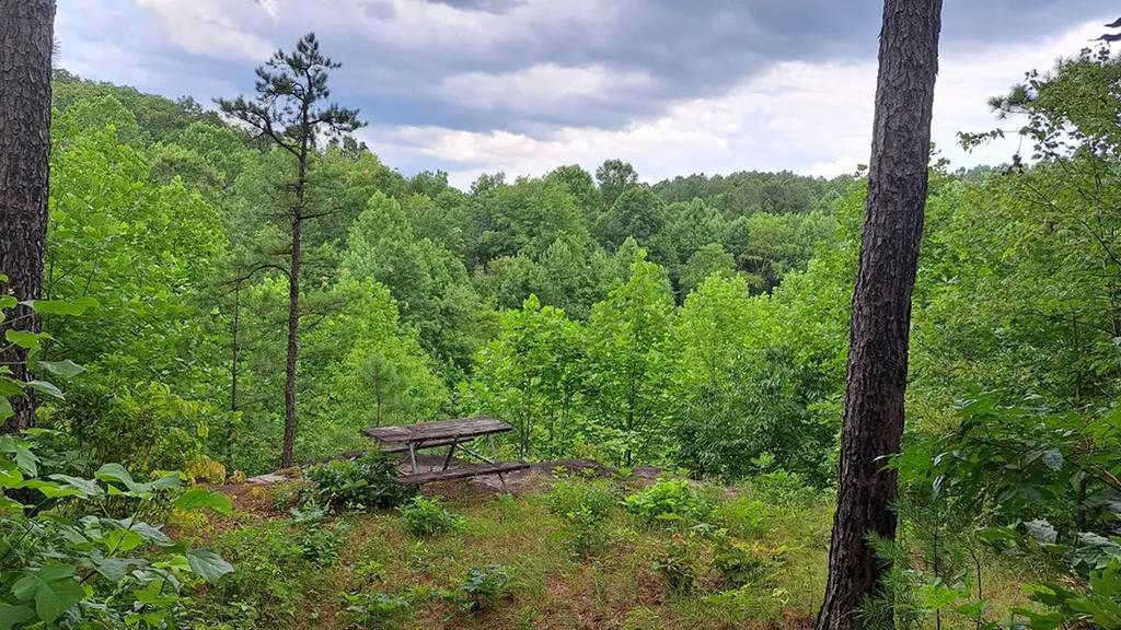 899 Flat Rock Road Crossville TN 38572