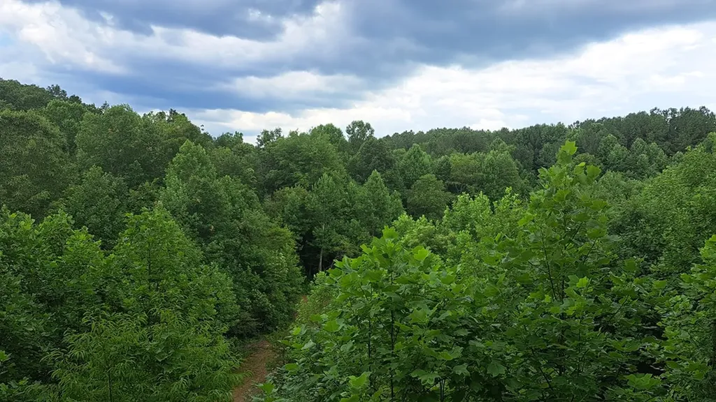 899 Flat Rock Road Crossville TN 38572