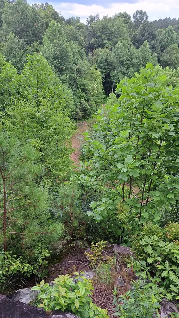 899 Flat Rock Road Crossville TN 38572