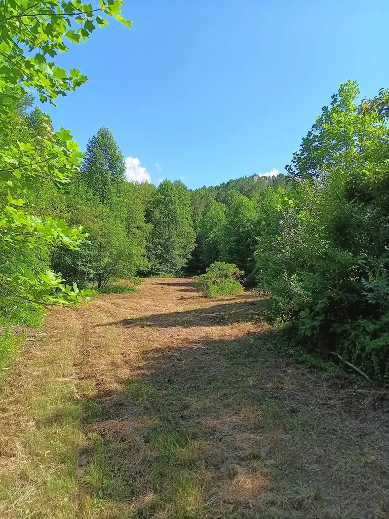 899 Flat Rock Road Crossville TN 38572