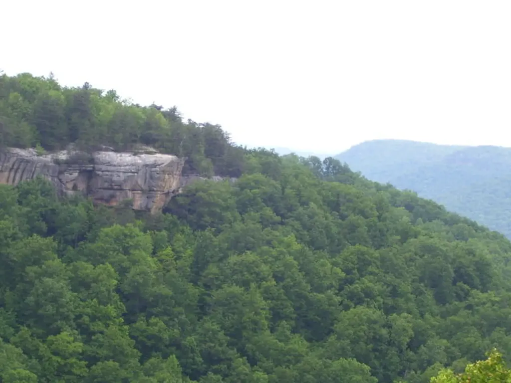Lot 65 Panther Falls Wilder TN 38589