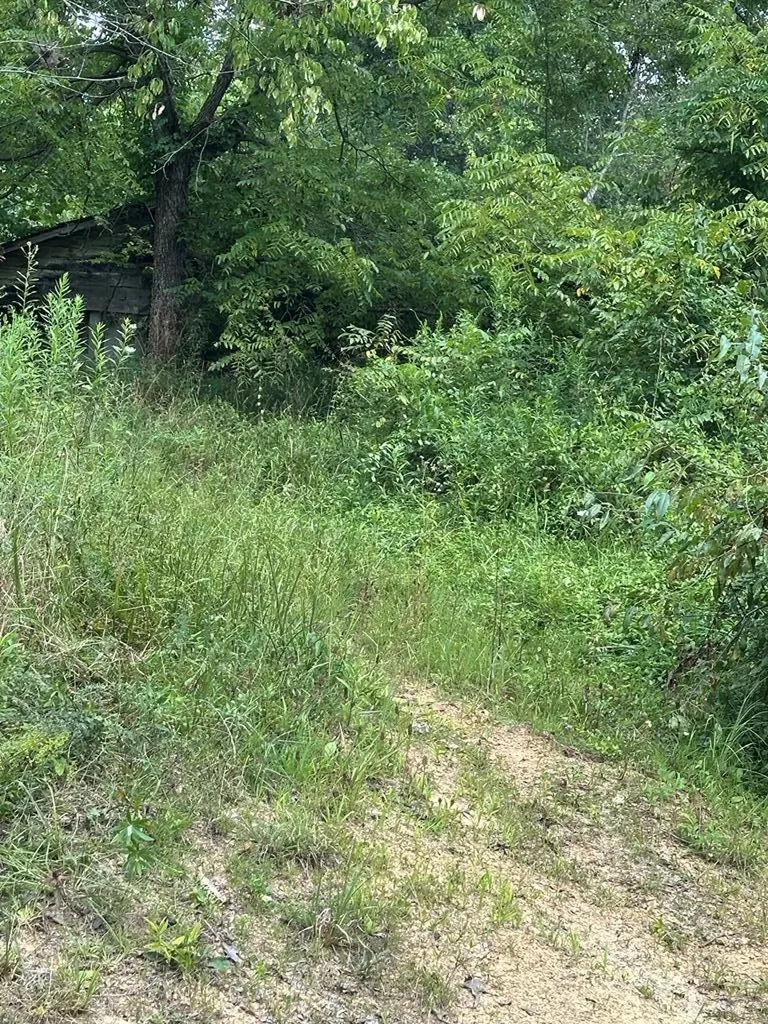 Lot 65 Panther Falls Wilder TN 38589