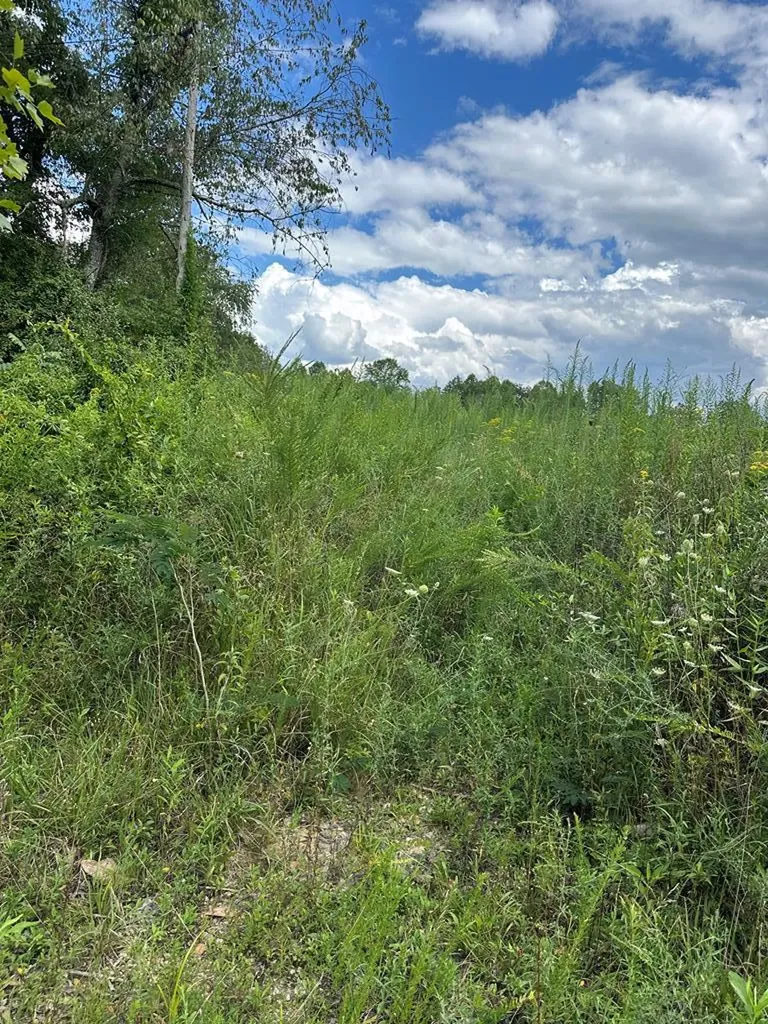 Lot 65 Panther Falls Wilder TN 38589