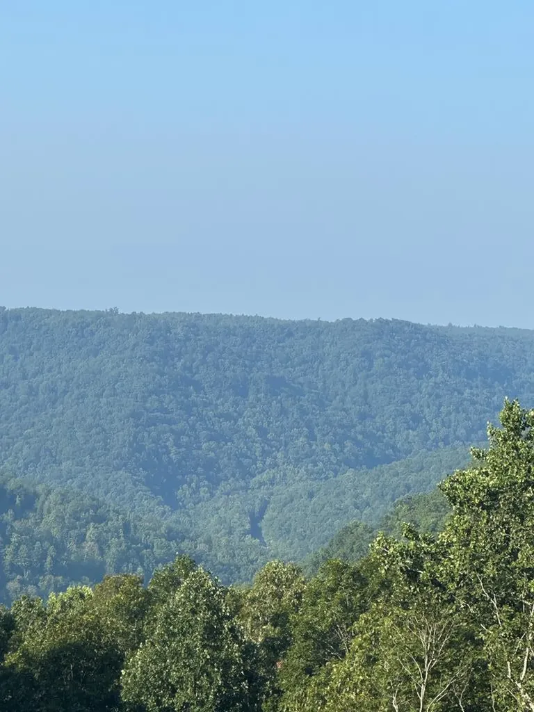 Lot 65 Panther Falls Wilder TN 38589