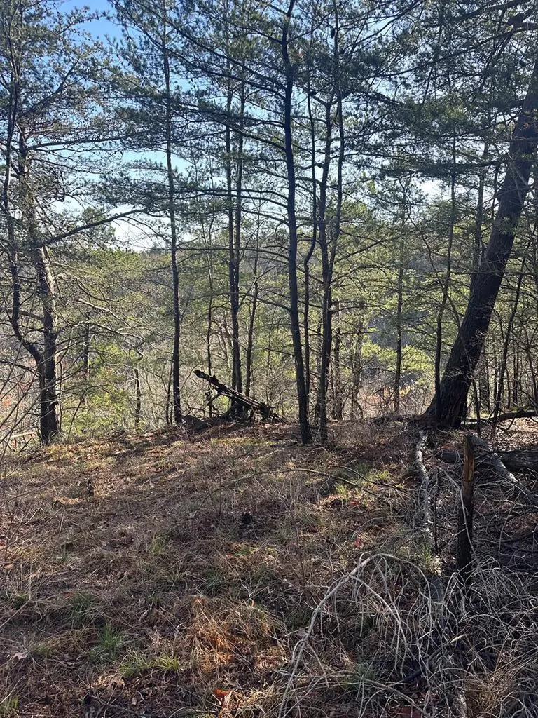 Lot 65 Panther Falls Wilder TN 38589