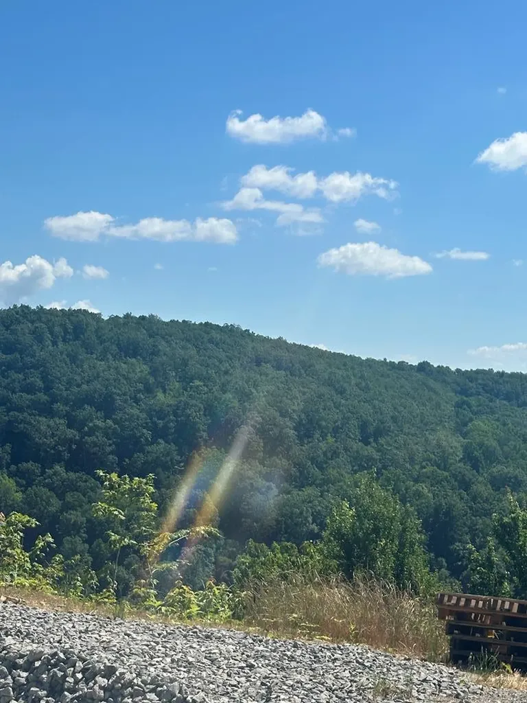Lot 65 Panther Falls Wilder TN 38589