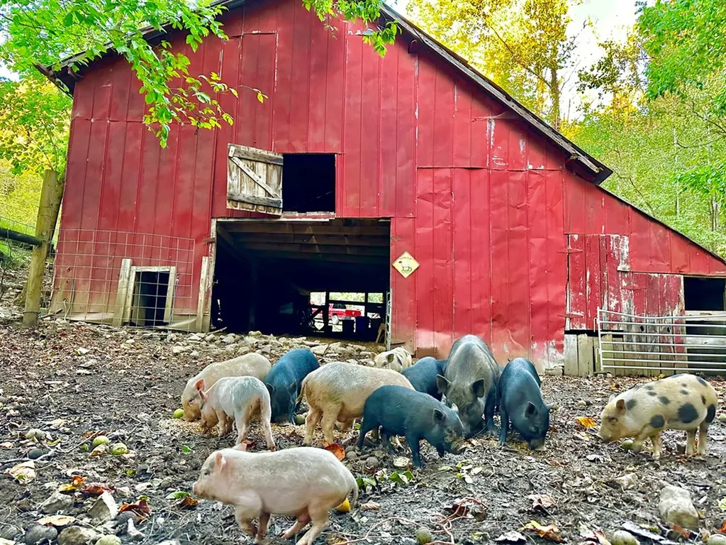 89 Ouchonder Road Elmwood TN 38560