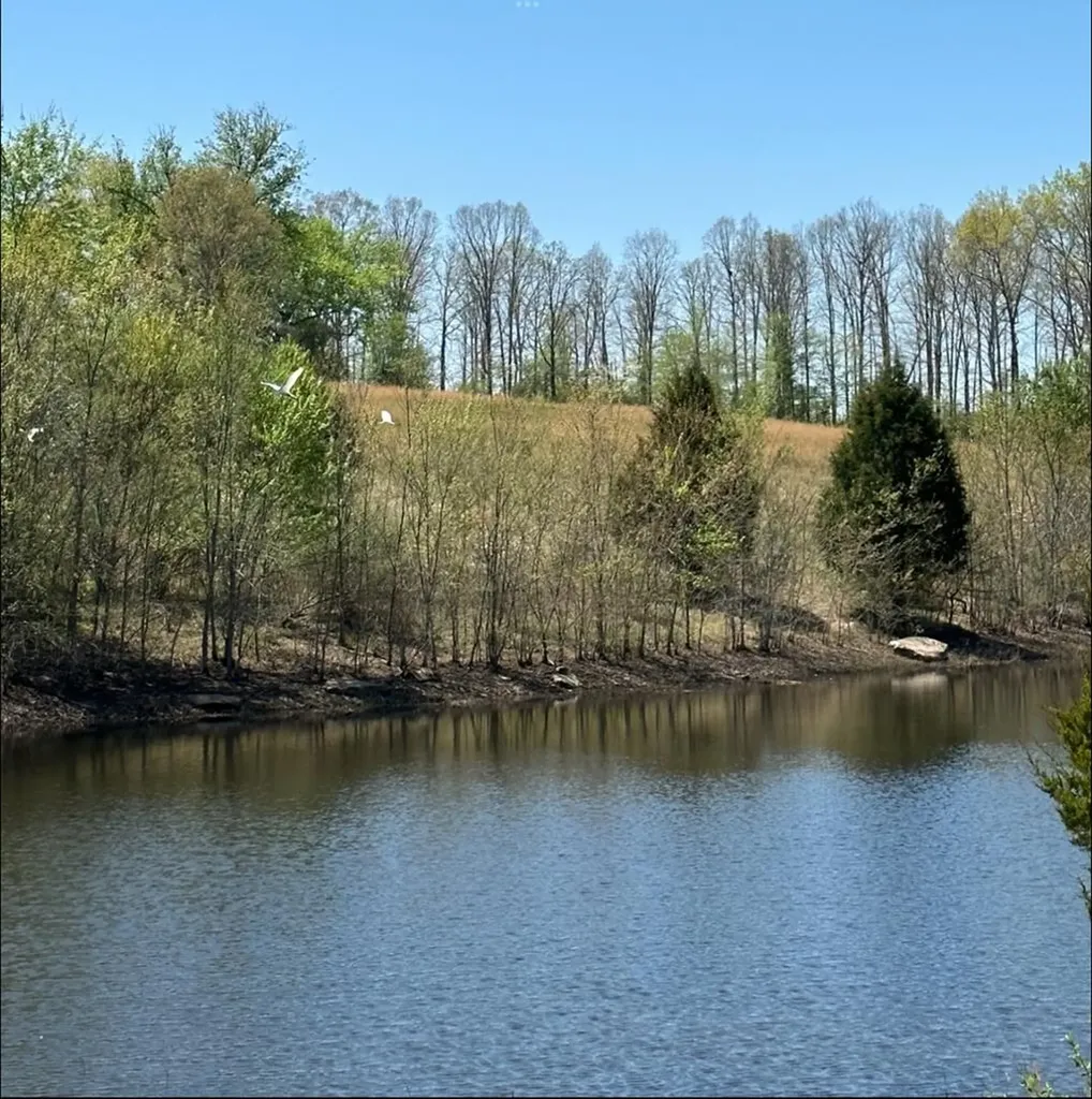 755 Music City Ranch Lane Sparta TN 38583