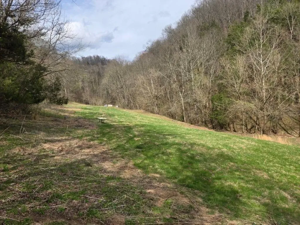142 Tobe Lane Celina TN 38551
