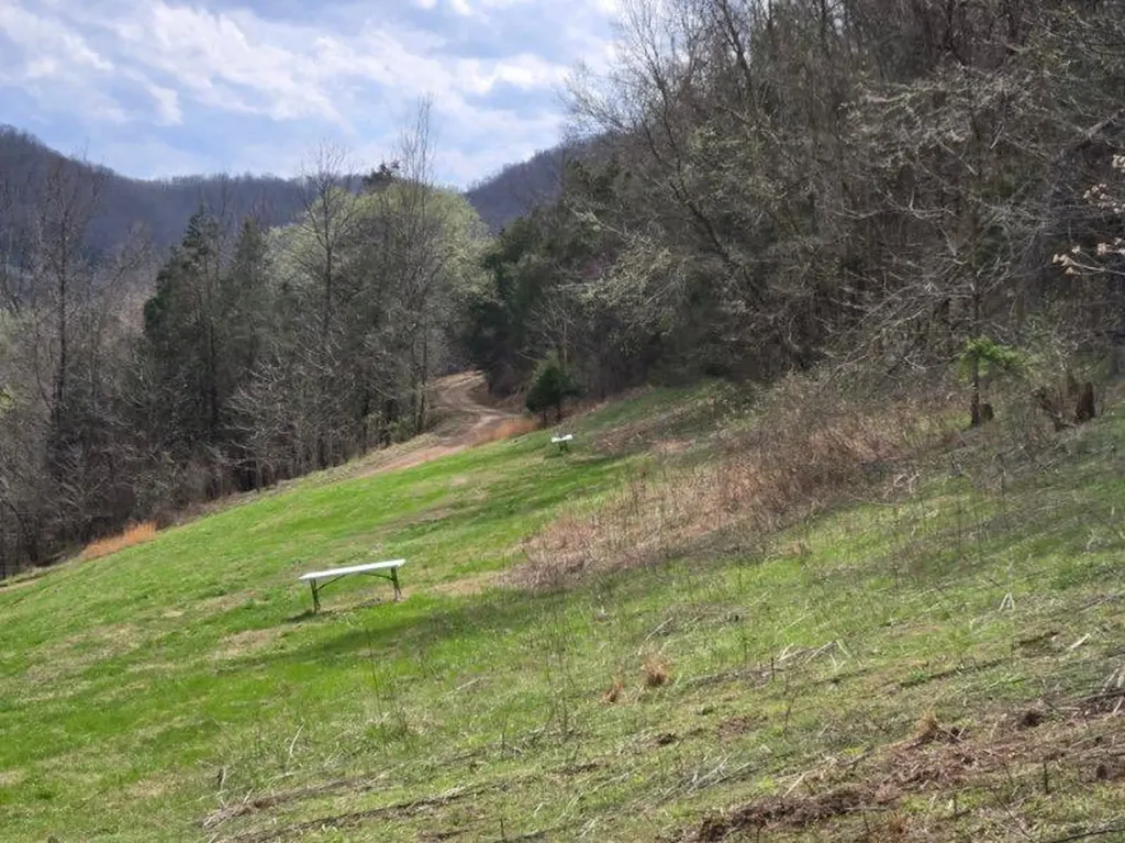 142 Tobe Lane Celina TN 38551