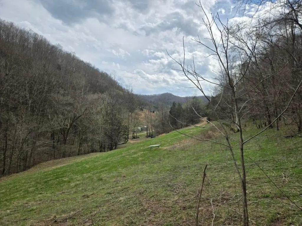 142 Tobe Lane Celina TN 38551