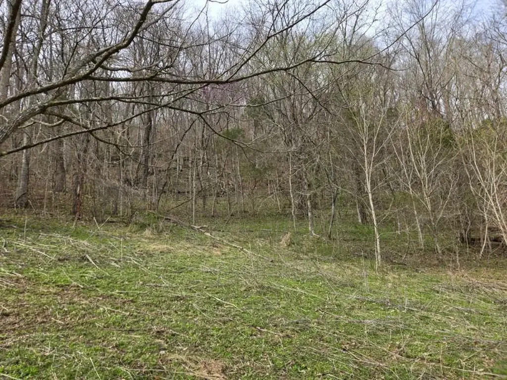 142 Tobe Lane Celina TN 38551